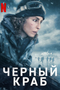 Черный краб